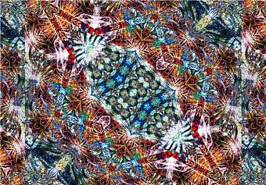 香草社在《圣兽之王》开发过程中已耗尽资金